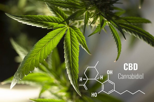 France Cannabidiol