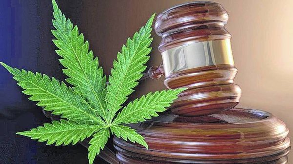 Cannabis, CBD, ce qui est légal en France et ce qui ne l'est pas